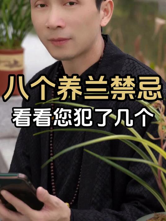 品兰之美,共享兰韵