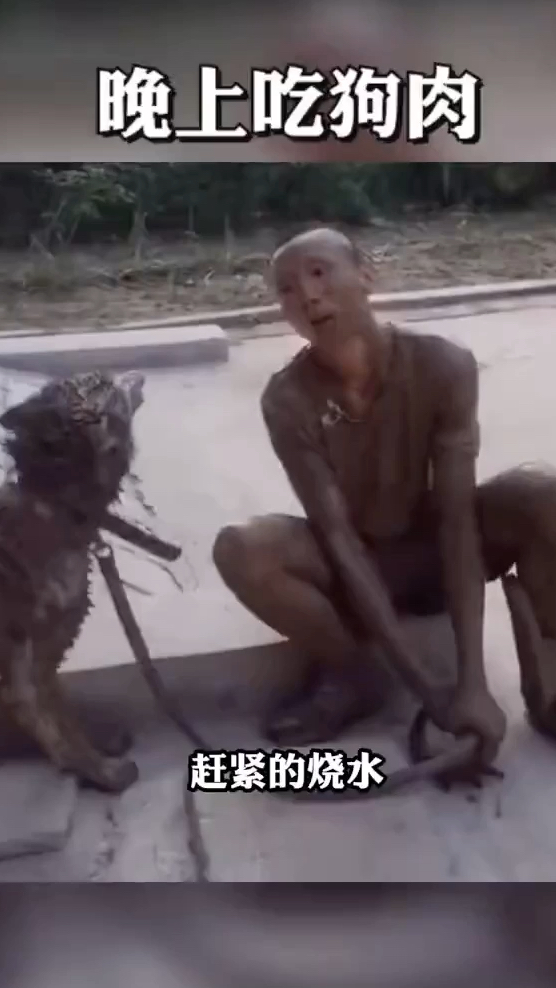 请问狗肉怎么做好吃