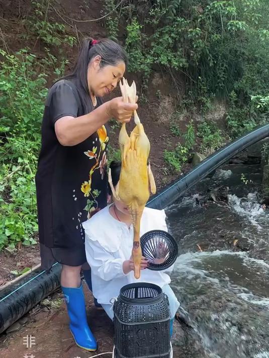 捕鱼就用这大号笼!不花钱搞鱼,下网就能爆笼超省事