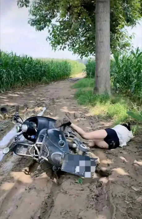 农村玉米地，邻居大嫂骑电动车摔倒，没有监控该扶么？（GIF）_我想网