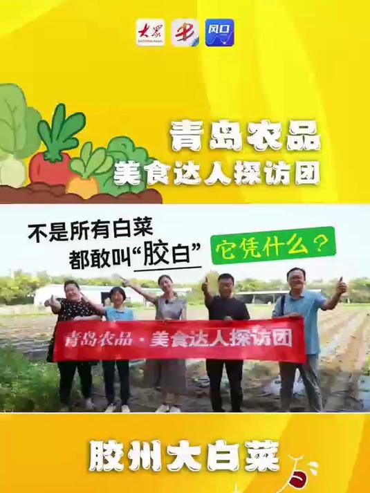 不是所有白菜都敢叫“胶白”，它凭什么？