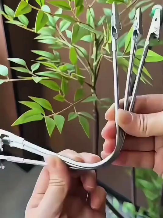 蚊香点着总犯难?双头鳄鱼夹出马,断香秒变驱蚊宝藏!