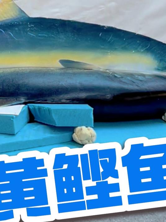 黄鲣鱼拓印