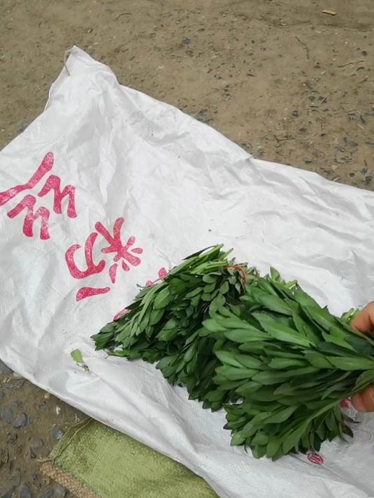 两位卖菜老人的不易，请认真看完