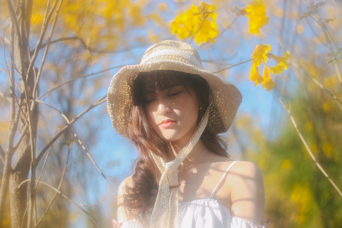 图片[2]-梦里寻花-六色网