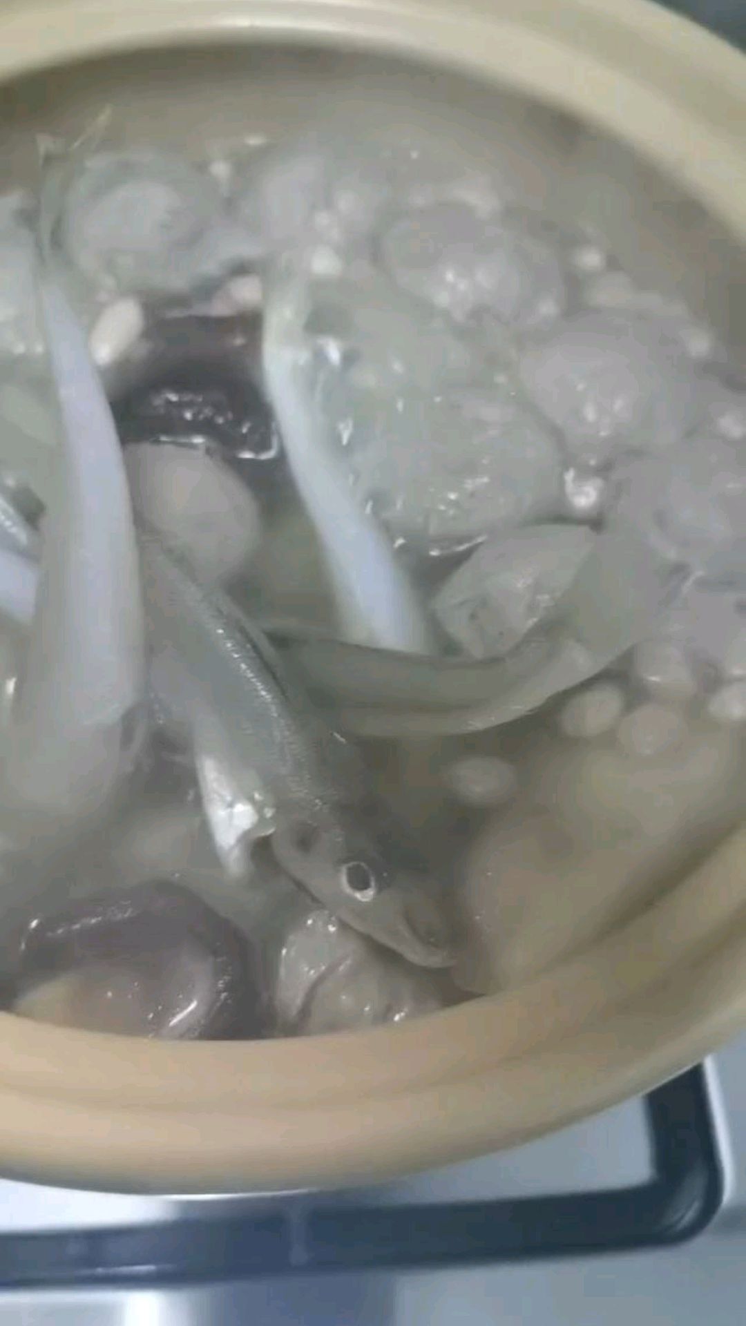 咕咕噜噜,热气腾腾的沙丁鱼靓汤