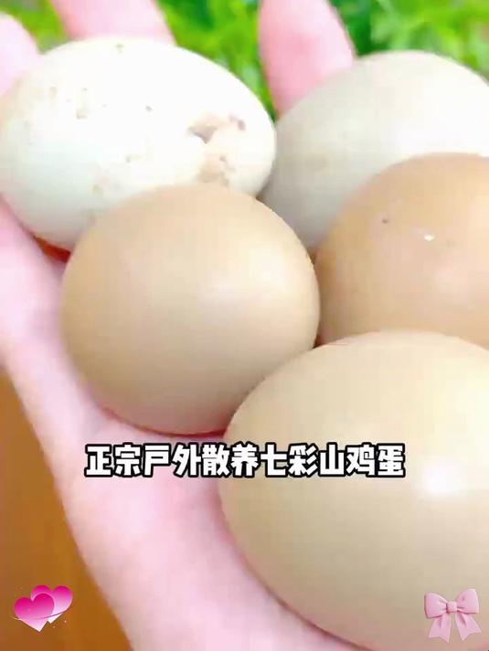 “蛋” 中人参七彩山鸡蛋,高钙富硒,为全家健康加分