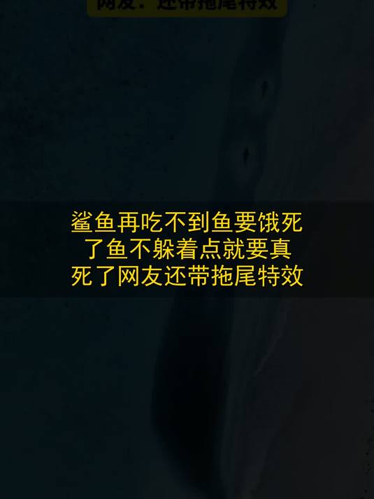 鲨鱼：再吃不到鱼要饿死了，鱼：不躲着点就要真死了，网友：还带拖尾特效