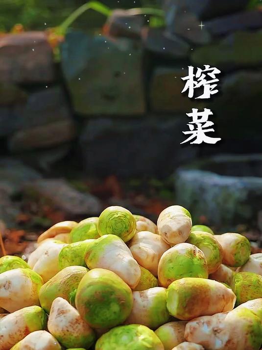 大头菜制作的榨菜丝咸香爽脆 开胃下饭
