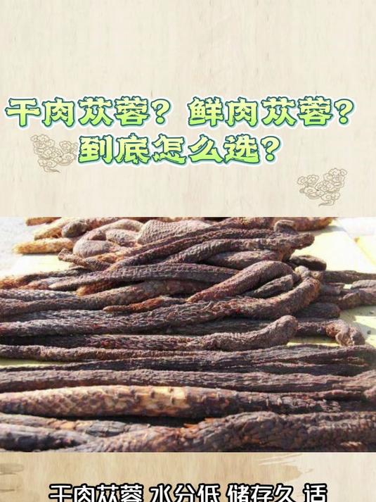 干肉苁蓉?鲜肉苁蓉?到底怎么选?