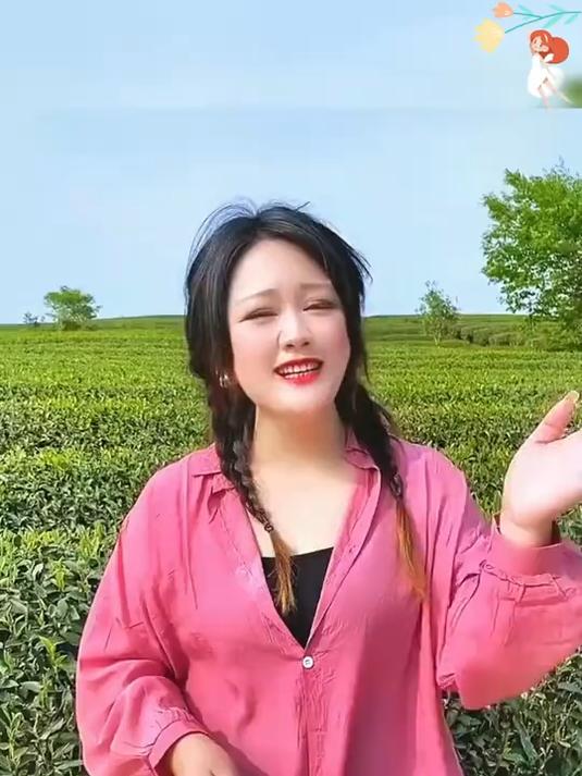 “燕肉” 来袭!燕子窠肉桂,茶汤饱满似琼浆,唇齿留香韵悠长