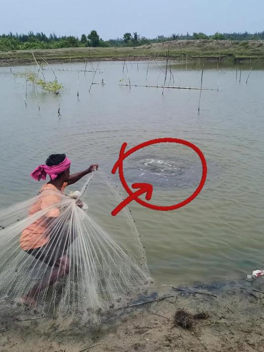 刚到河边就发现水中的异常,当渔网将目标区域罩住,会有什么收获