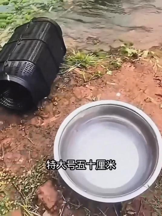 多功能捕鱼虾笼 防锈耐用 专捕泥鳅黄鳝 溪流池塘通用