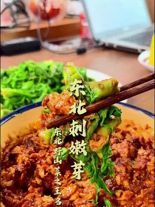 蔬菜中的刺客,野山菜之王,这就是东北特产刺嫩芽