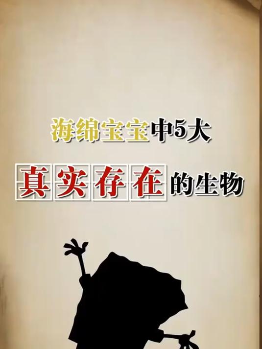 海绵宝宝中5大真实存在的生物,章鱼哥的原型太不可思议了