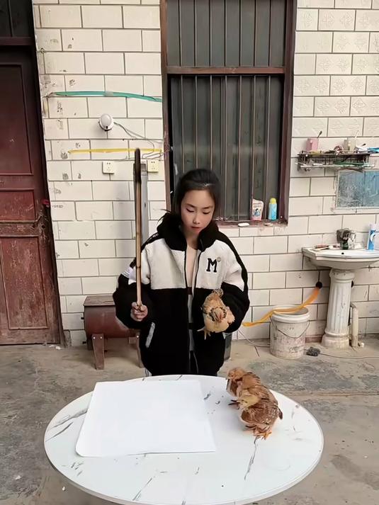 老师让你画画，你抱几只小鸡仔干啥？