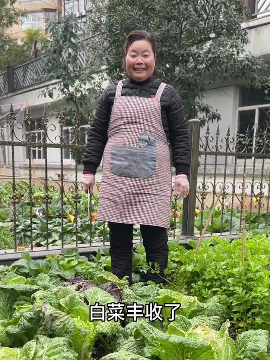 朋友们，这段时候吃的油腻，记得多吃素菜，分享大白菜的几种做法