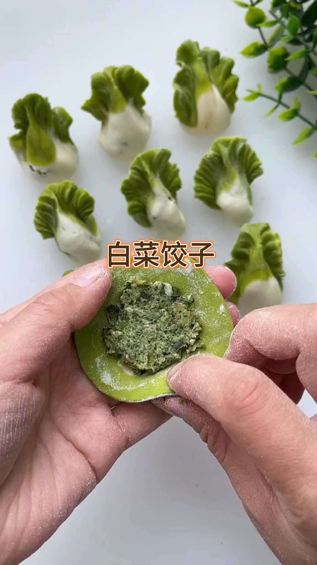 白菜饺子包法