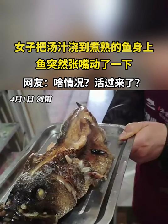 女子把汤汁浇到煮熟的鱼身上,鱼突然张嘴动了一下