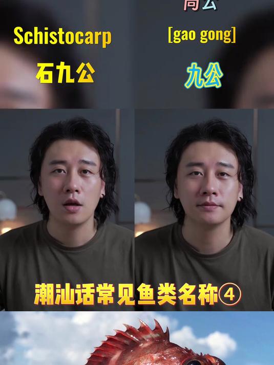 爱吃却不知道这些鱼潮汕话
