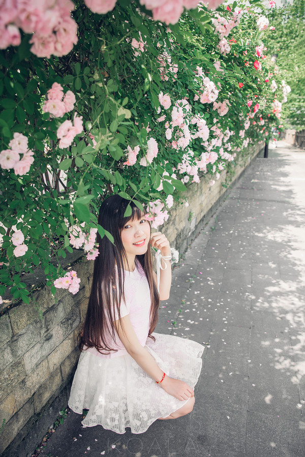 图片[18]-Blooming rose-六色网