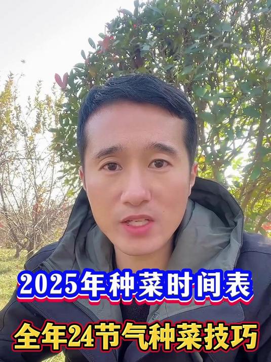 2025年全年24节气种菜时间表种不种菜都应该知道