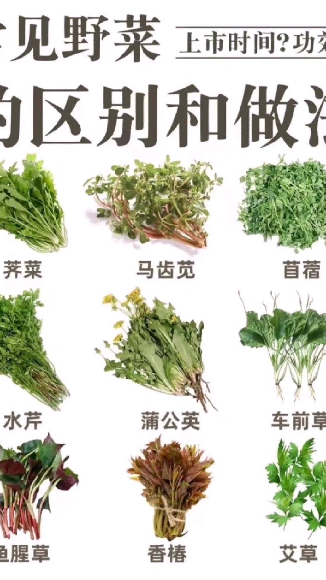 常见野菜的区别和吃法。我的美食日记,爱上我的厨房#食材分享