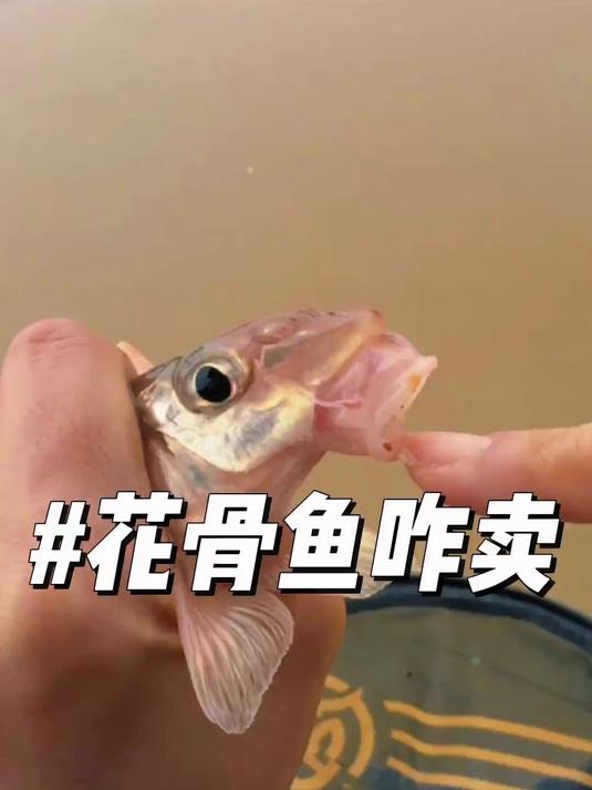 花骨鱼应该卖多少钱一斤？