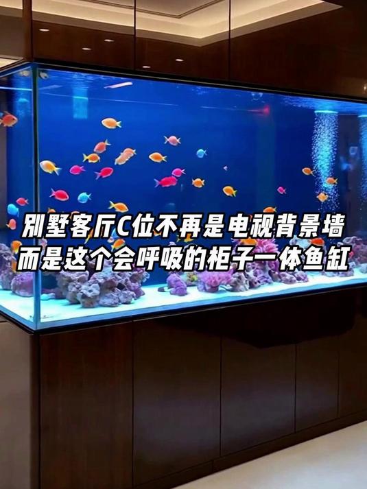 别墅柜子鱼缸一体设计,屏风鱼缸定制,打造家中海洋风景线