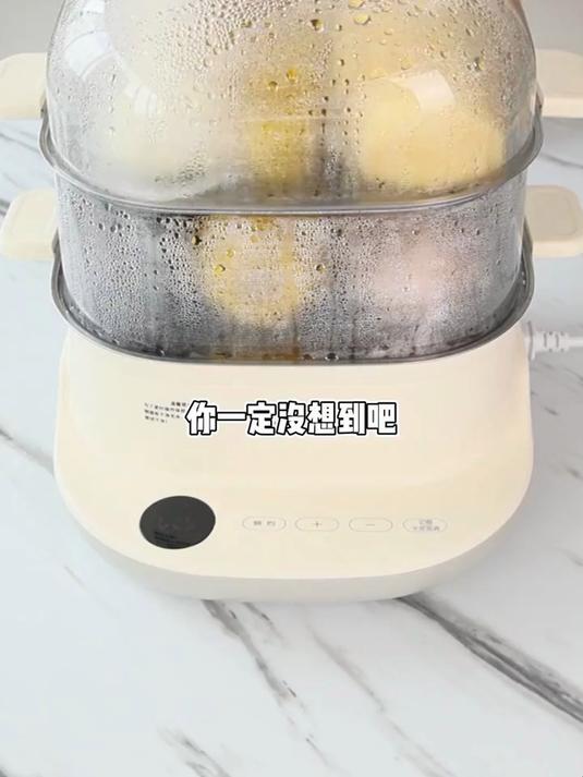 家用多功能电蒸锅