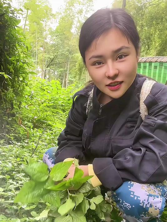 可以炒肉,煮汤的野菜。药用也很广泛,名医别录中有记载