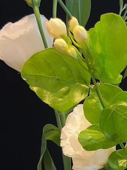 莲藕和豌豆苗的中式蔬菜插花教程