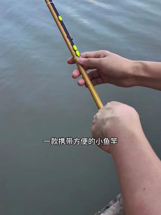 一款携带方便小鱼竿,鱼钩,鱼线,浮漂都是绑好