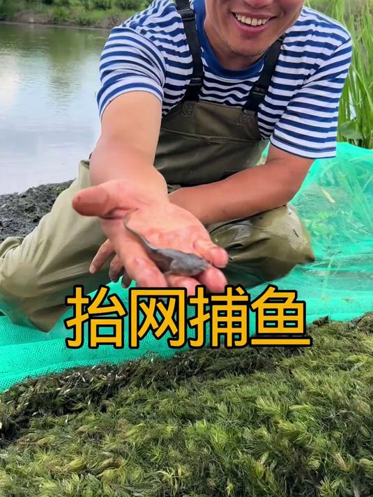 抬网捕鱼真过瘾比下网好玩过瘾