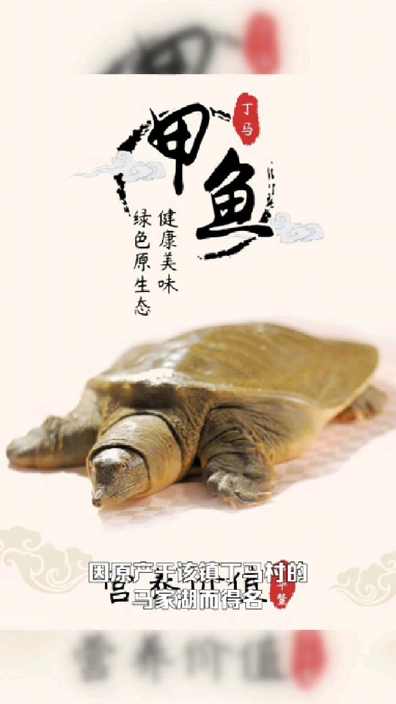 山东聊城特产—丁马甲鱼