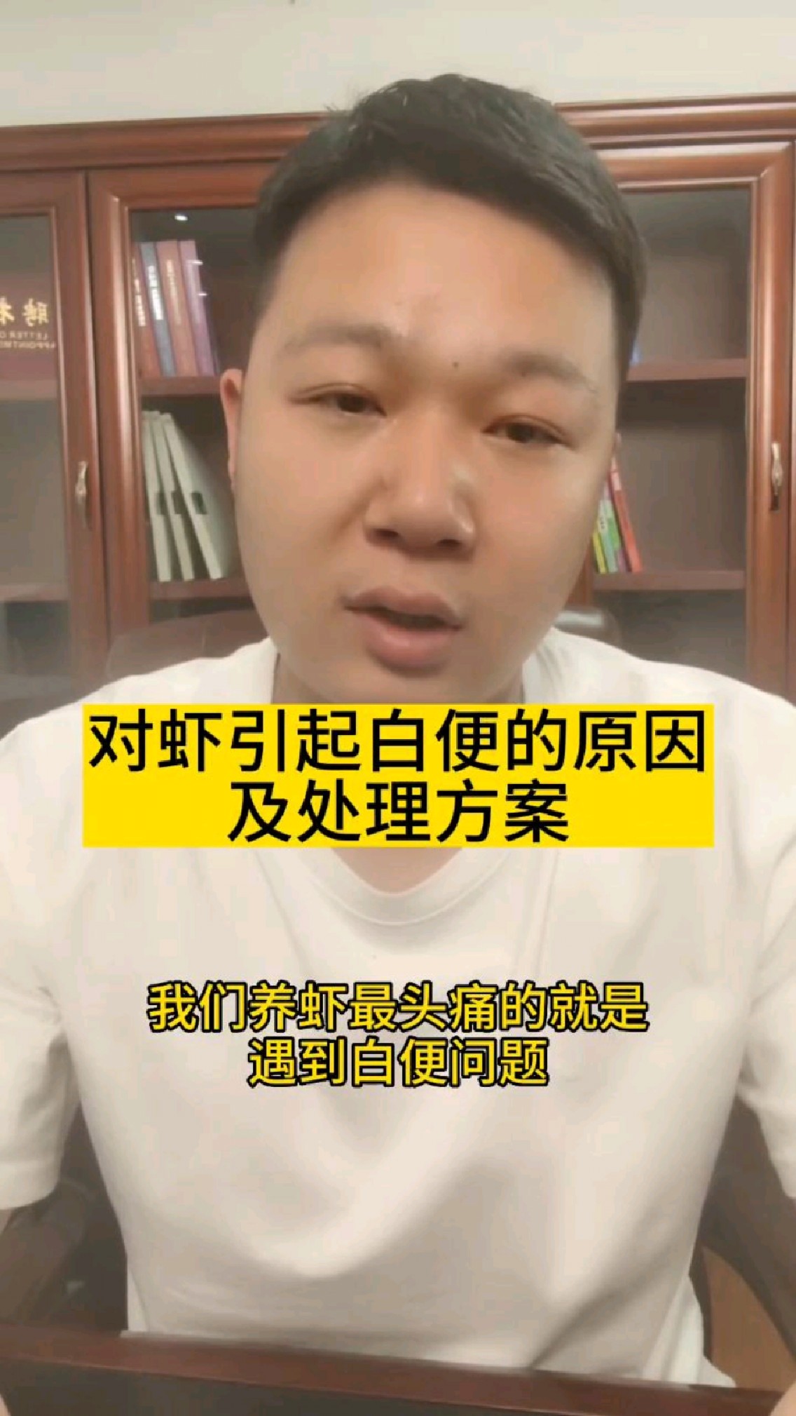 对虾引起白便的原因及解决方案
