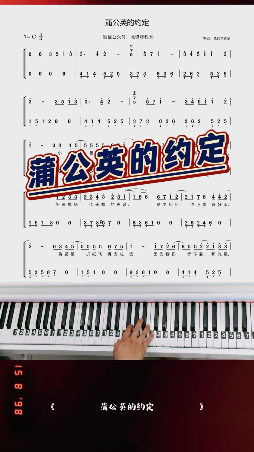 《蒲公英的约定》钢琴教学改编简易版钢琴双手简谱来啦