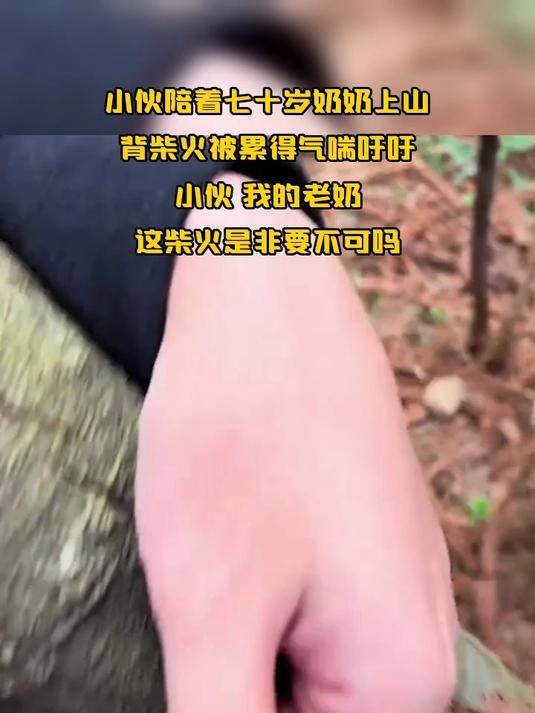 小伙陪着七十岁奶奶上山,背柴火被累得气喘吁吁,小伙 我的老奶,这柴火是非要不可吗