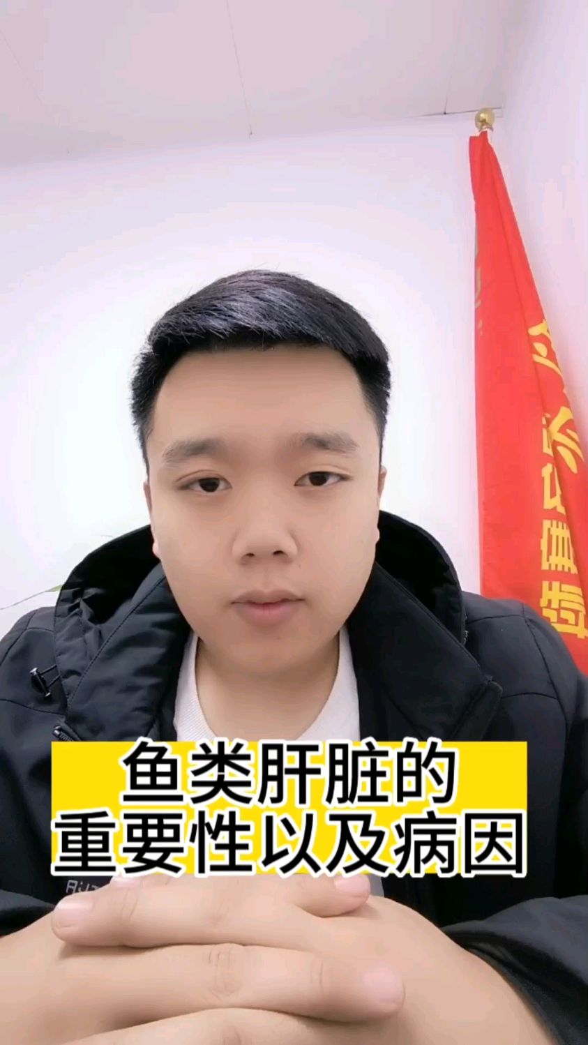 鱼类肝脏重要性以及病因