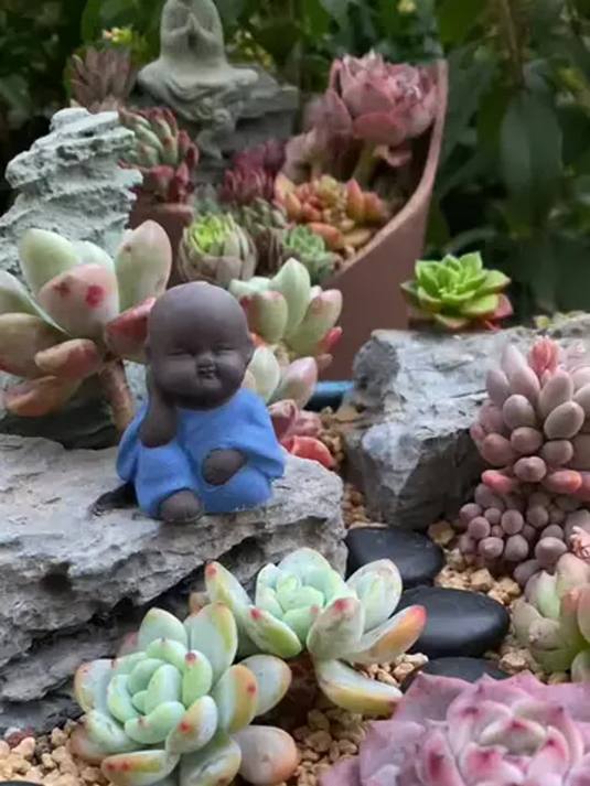 多肉拼盘如何造景?让生活充满治愈气息!