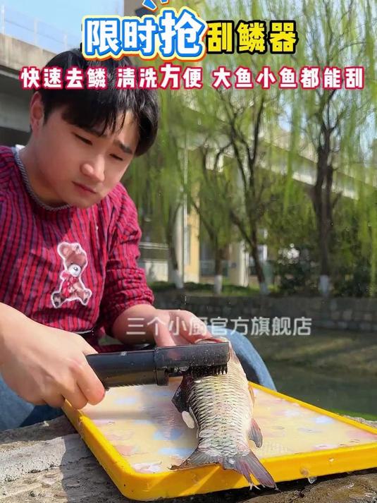 宁愿少吃一顿饭，也要买上这个电动鱼鳞器，两三分钟搞定一只鱼