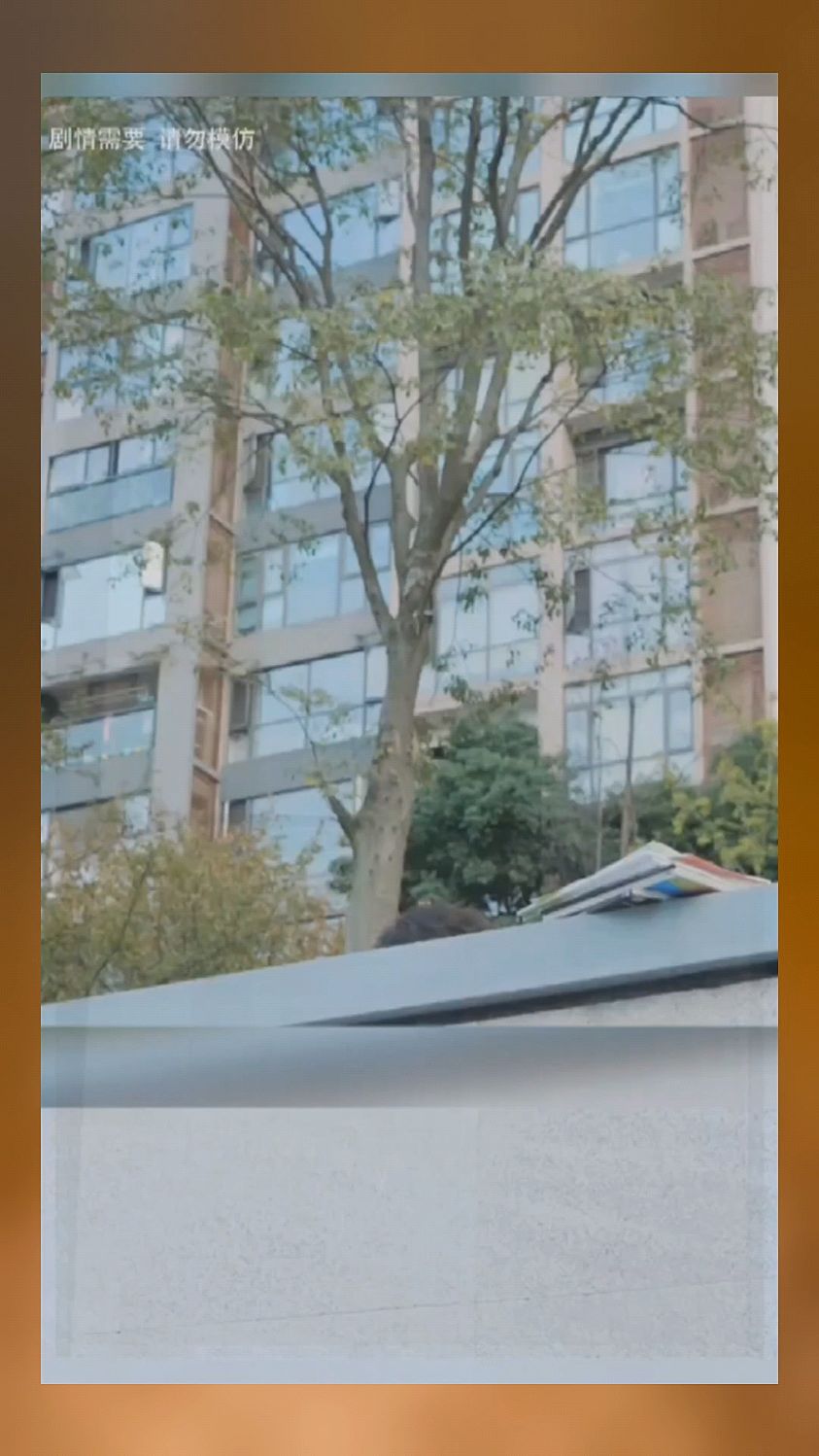 美好的校园时代
