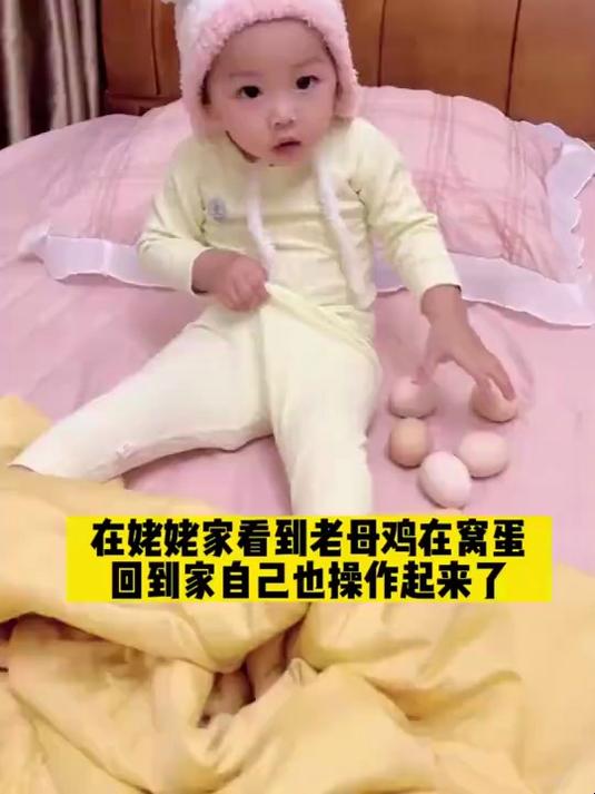 在姥姥家看到老母鸡孵小鸡了,回来后就要学着孵小鸡