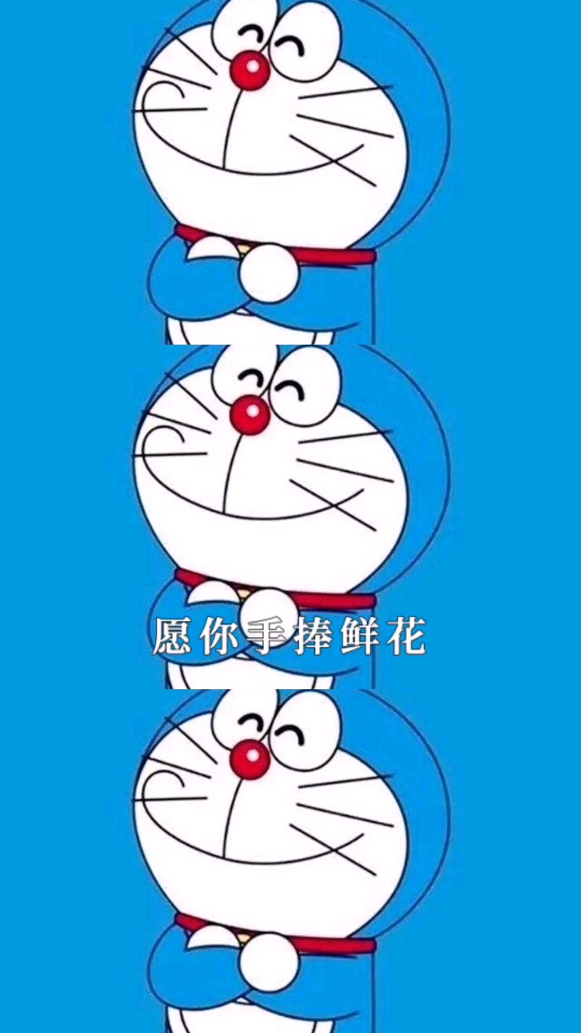 愿你手捧鲜花