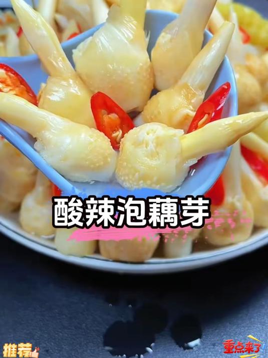 这个泡藕芽的口感真是太绝了又脆又嫩清脆爽口酸酸辣辣
