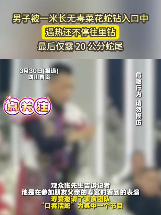 男子被一米长无毒菜花蛇钻入口中,遇热还不停往里钻,只剩20公分蛇尾