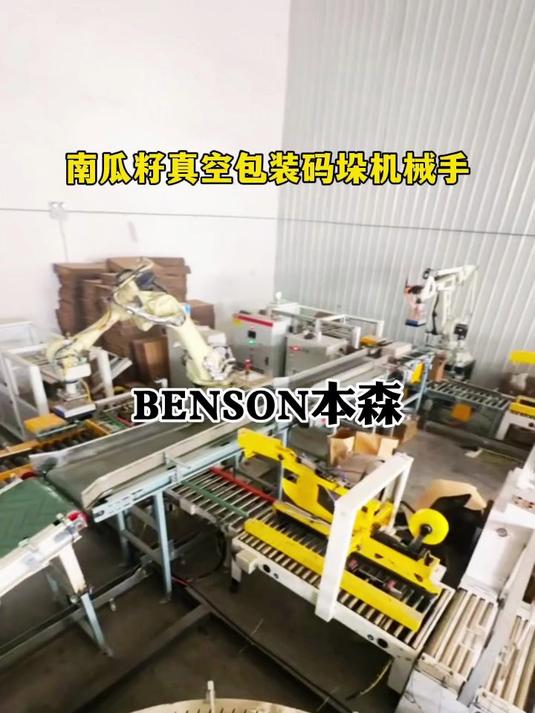 码垛机器人哪家好 南瓜籽真空包装码垛机械手