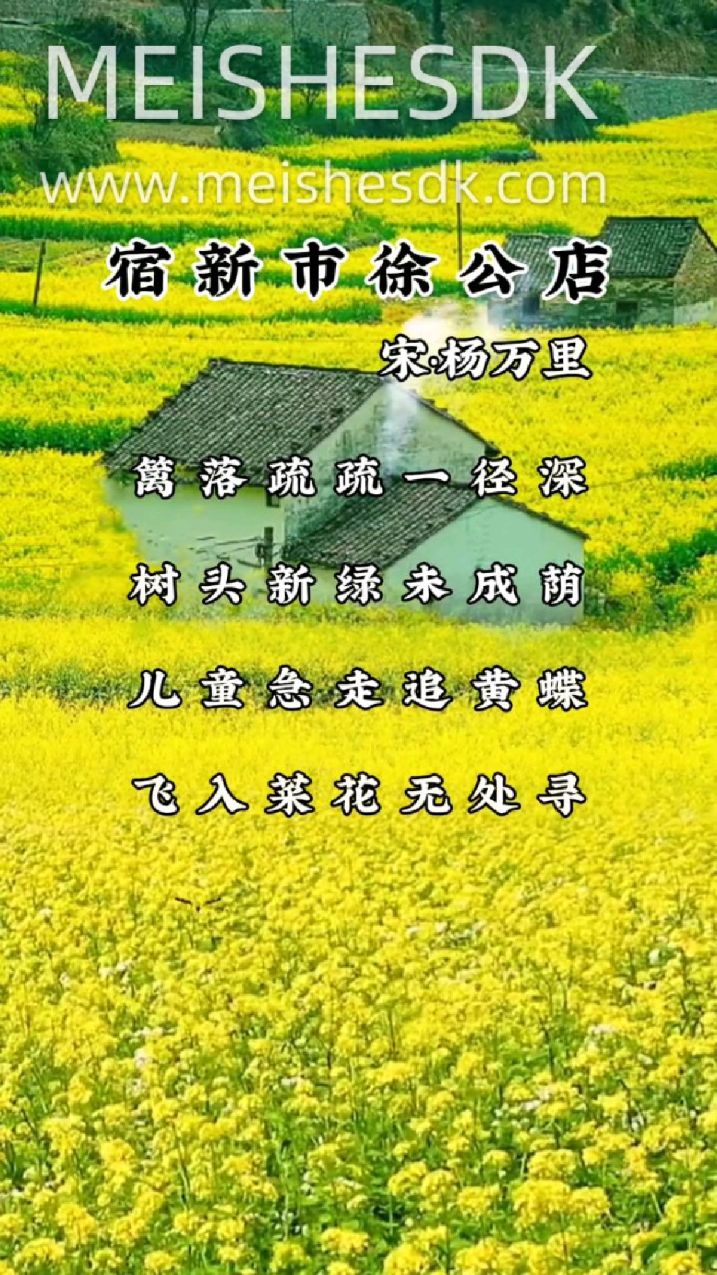 《宿新市徐公店》儿童急走追黄蝶,飞入菜花无处寻!多好的诗境