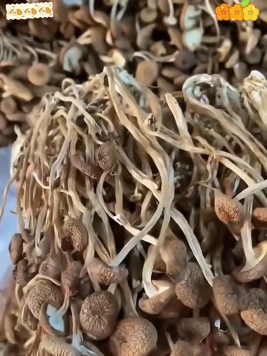 新鲜采摘的茶树菇这样做成干锅茶树菇香辣脆爽好吃还下饭
