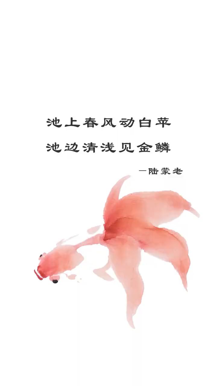 30秒就能学会的金鱼画法